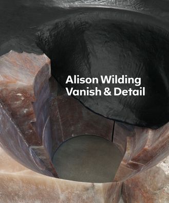 Alison Wilding: Vanish & Detail