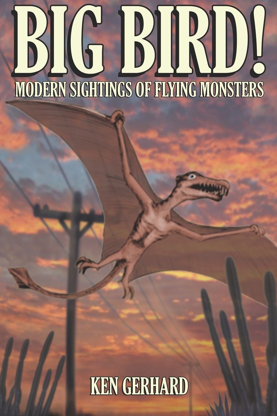 Big Bird! - Modern Sightings Of Flying Monsters