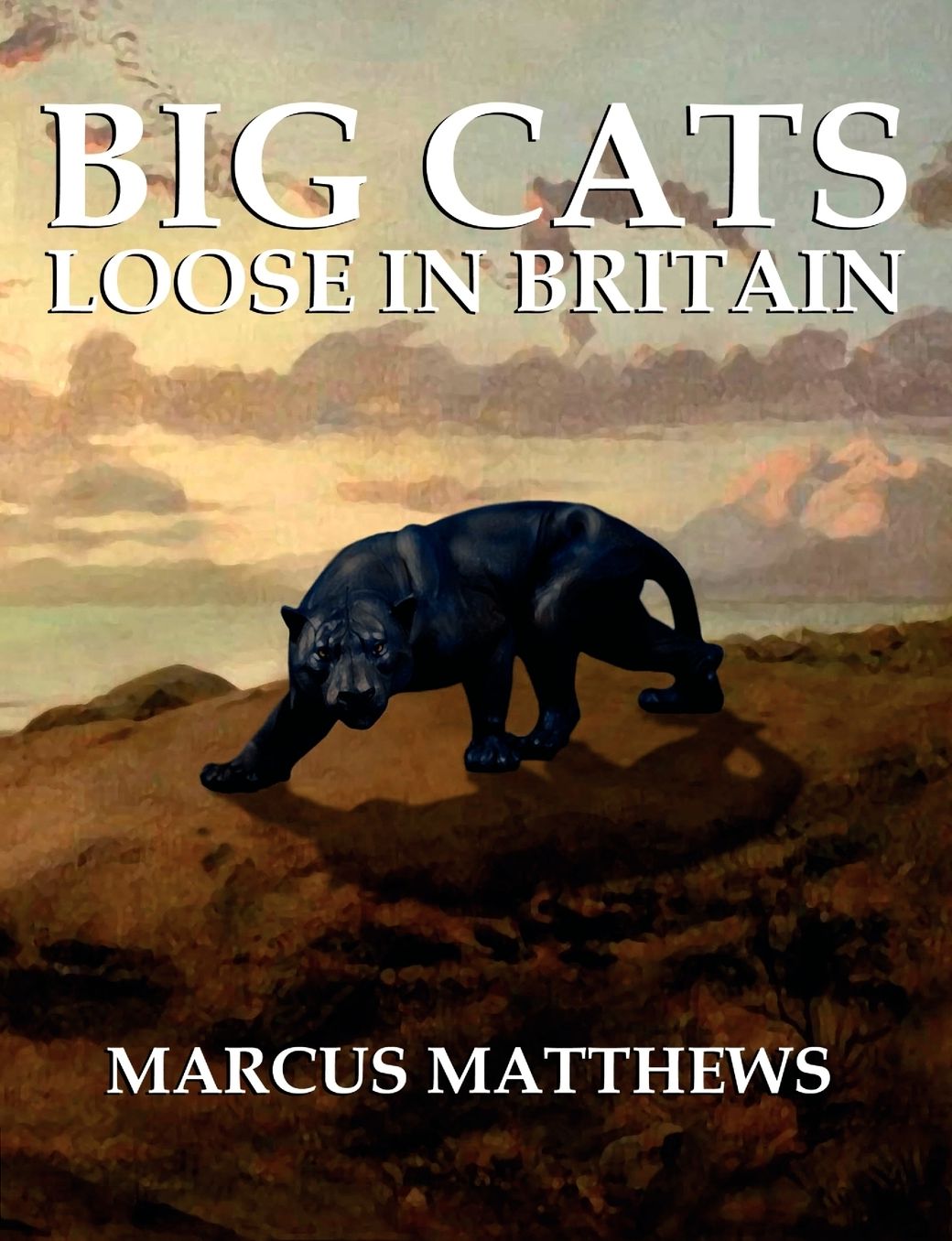 Big Cats Loose In Britain