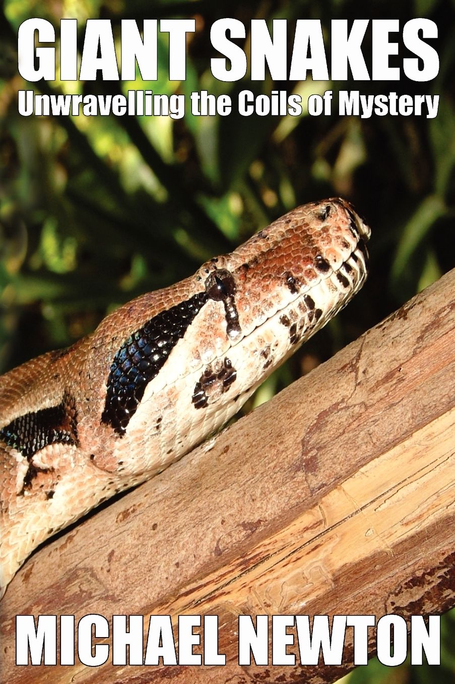 Giant Snakes - Unwravelling The Coils Of Mystery