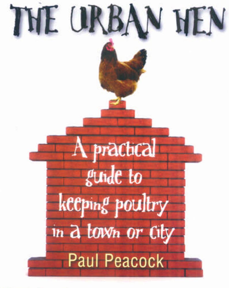 The Urban Hen