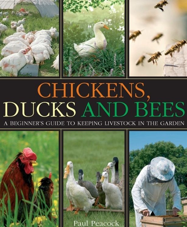 Chickens, Ducks and Bees: A Beginner's Guide to Keeping Livestock in the Garden