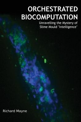 Orchestrated Biocomputation: Unravelling the Mystery of Slime Mould "Intelligence"