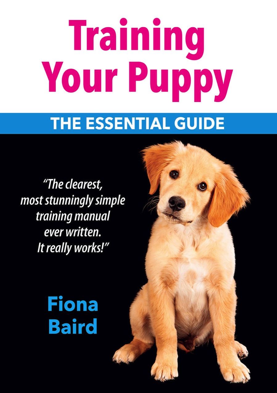 Training your puppy: The concise guide