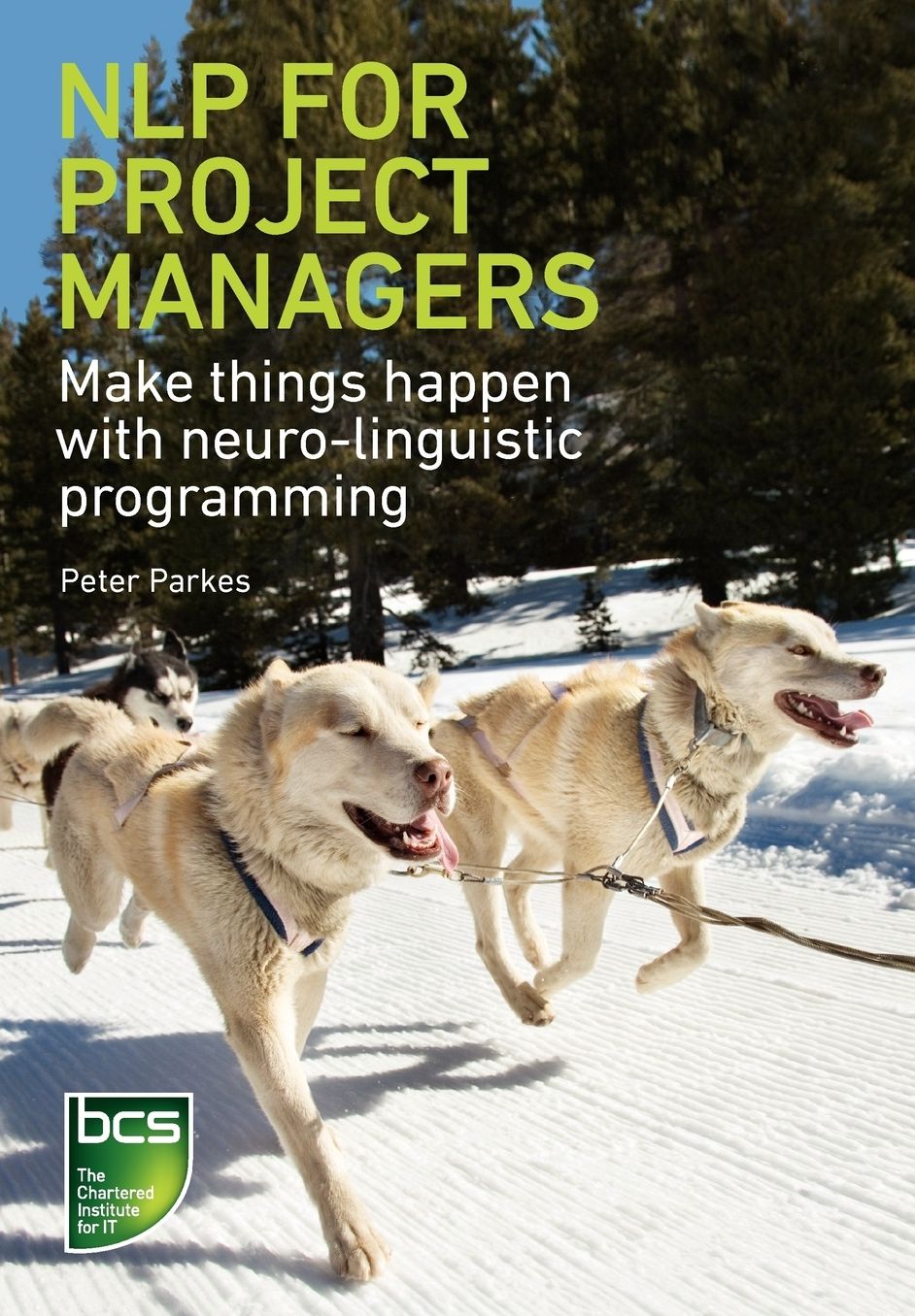 Nlp For Project Managers