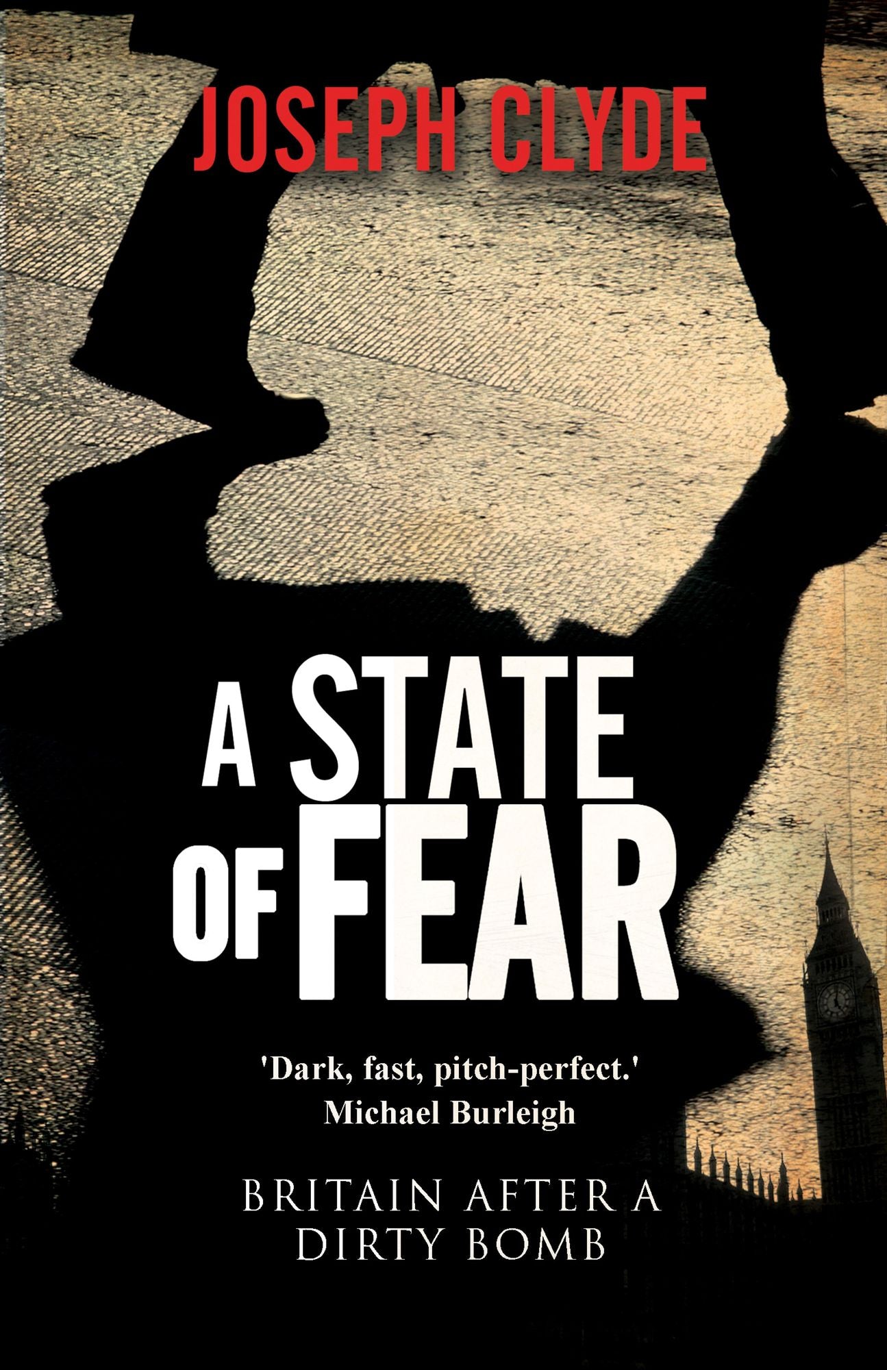 A State of Fear: A Novel