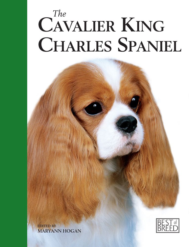 Cavalier K C Spaniel: Pet Book
