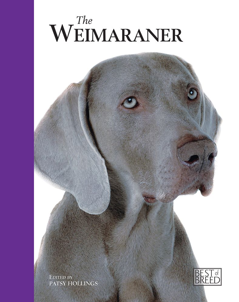 Weimaraner: Pet Book
