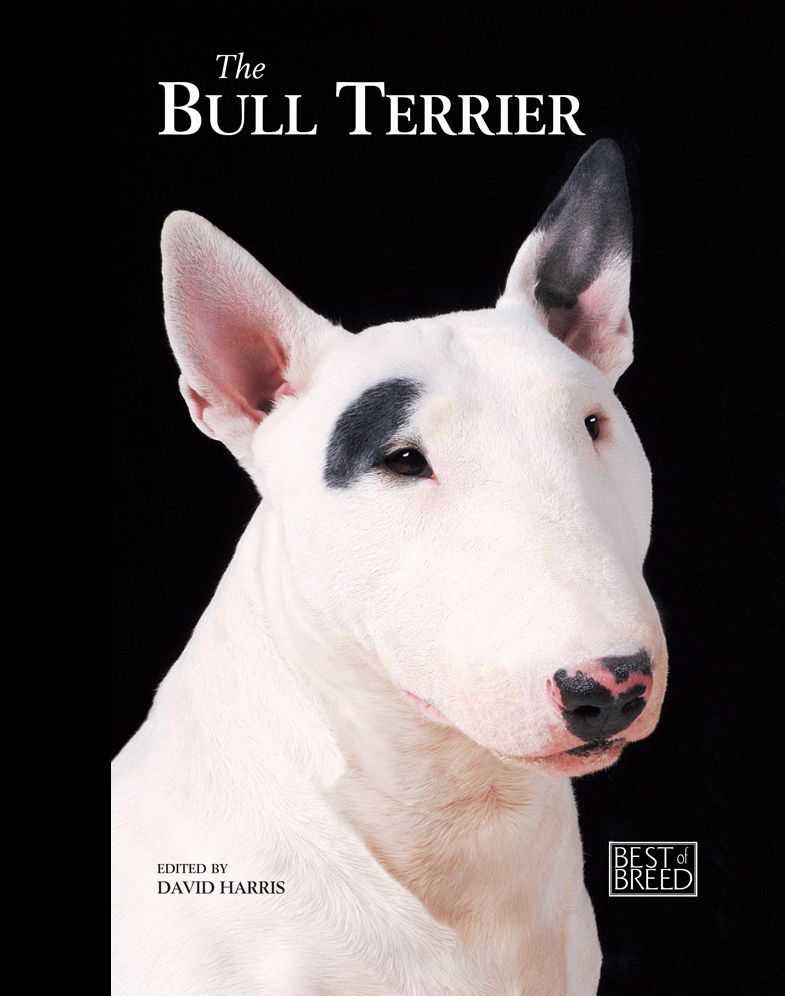 Bull Terrier: Pet Book