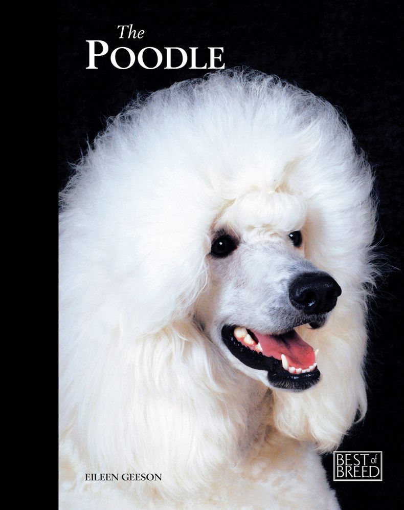 Poodle: Pet Book