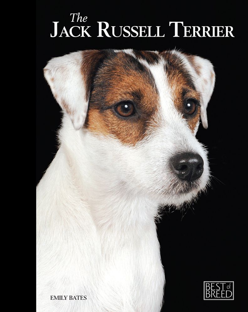 Jack Russell: Pet Book