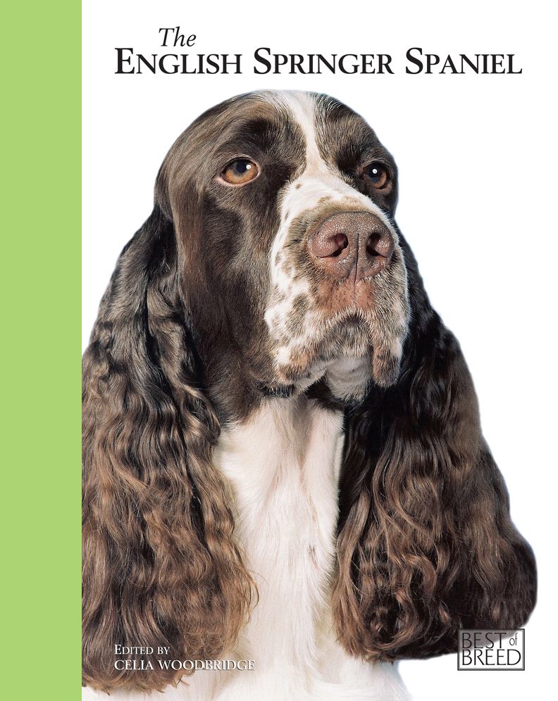 English Springer: Pet Book