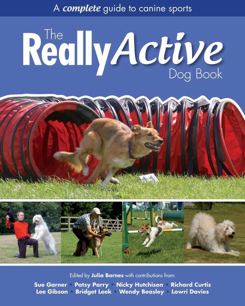 The Really Active Dog Book