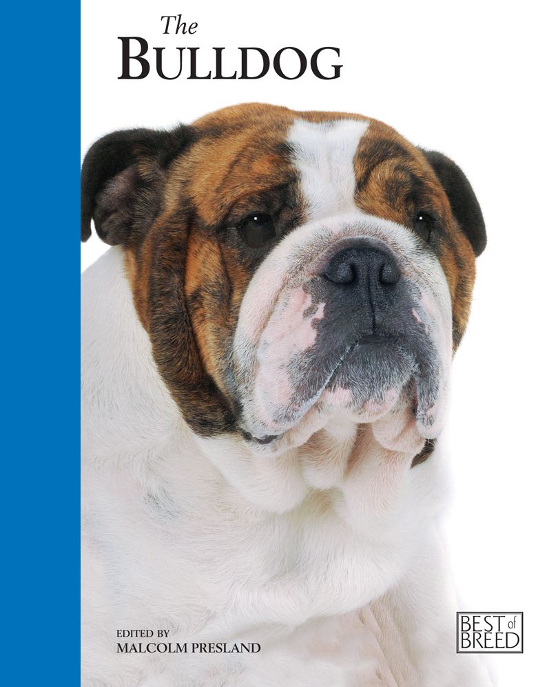 Bulldog: Pet Book
