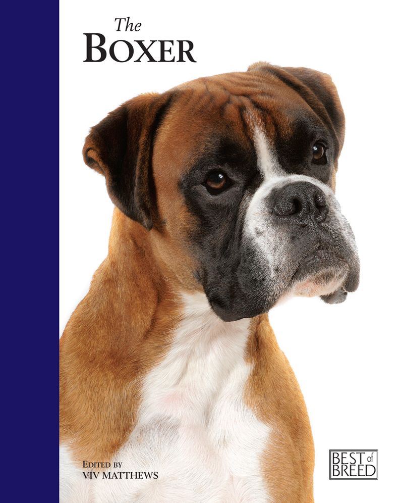 Boxer: Pet Book
