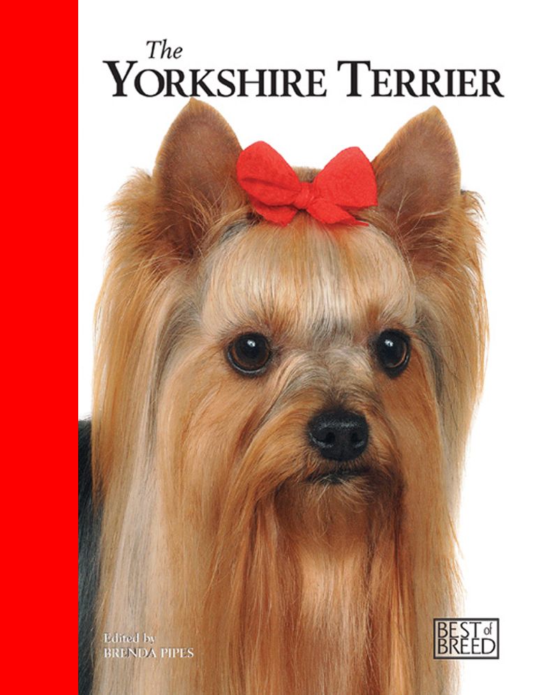 Yorkshire Terrier: Pet Book