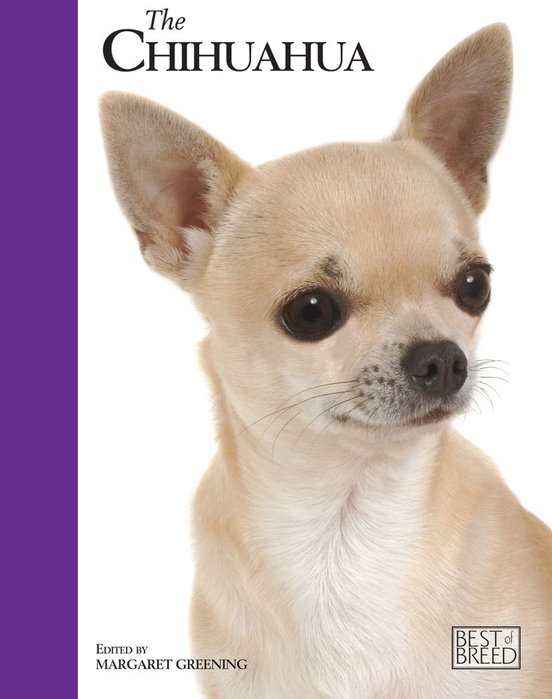 Chihuahua (Best of Breed Series)