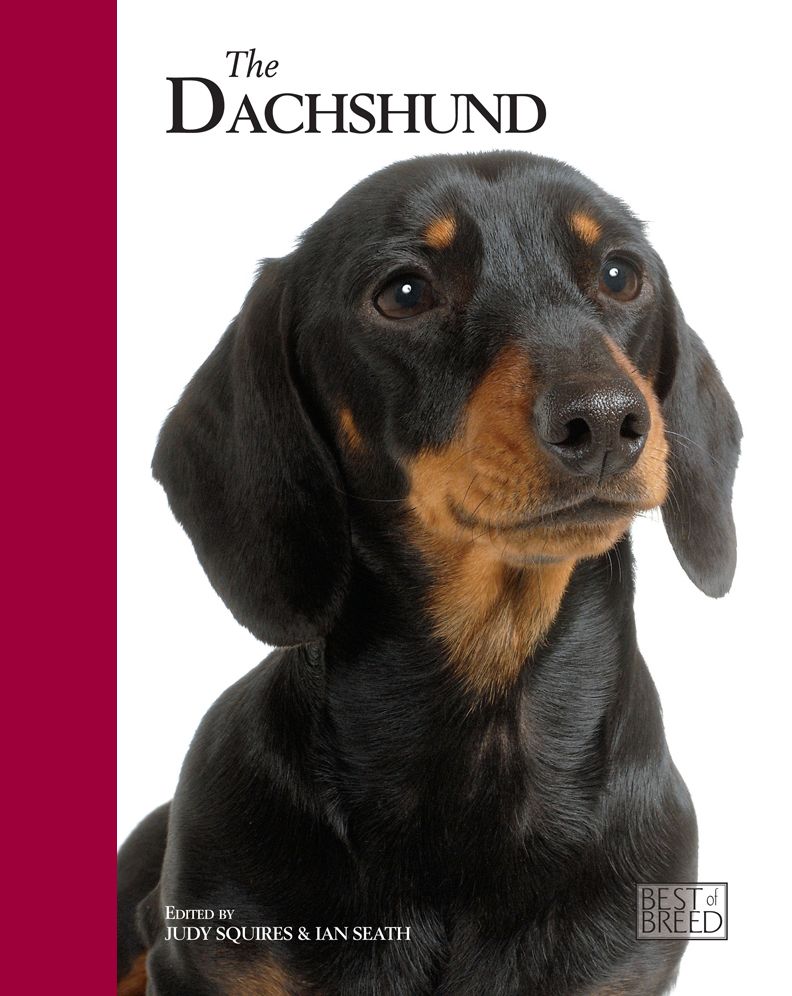 Dachshund (Best of Breed Series)