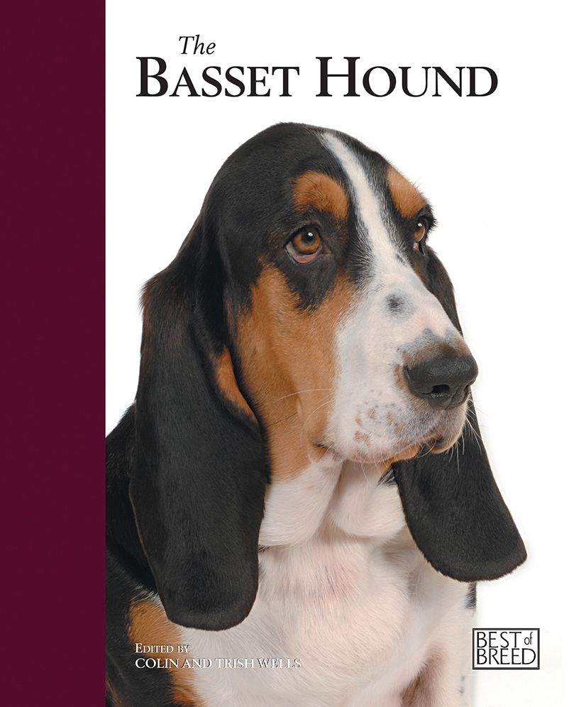 Basset Hound: Pet Book