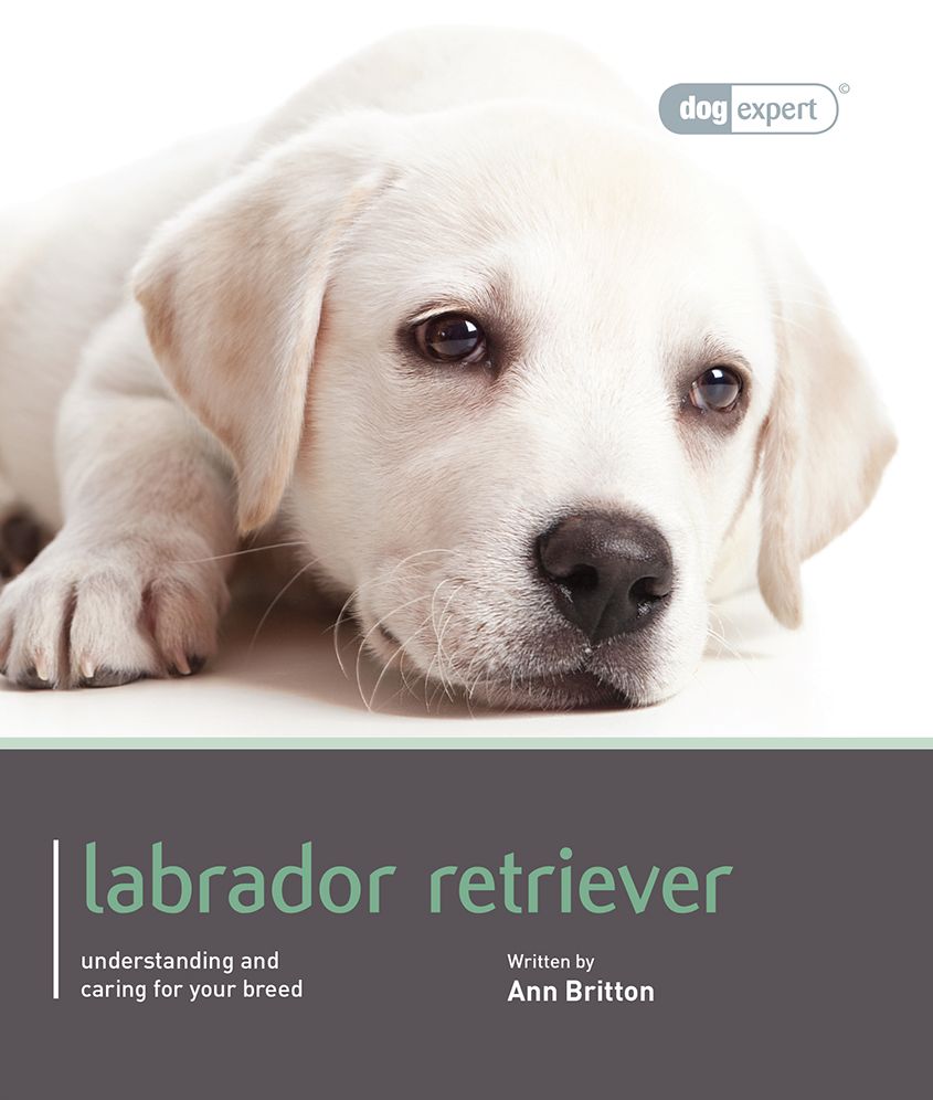 Labrador: Pet Book