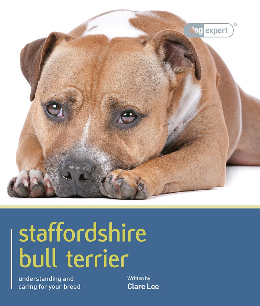 Staffordshire Bull Terrier