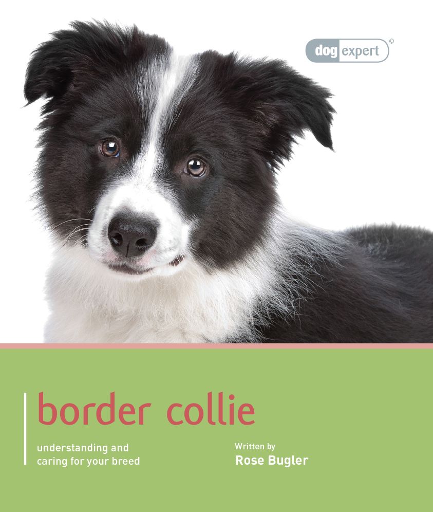 Border Collie: Pet Book