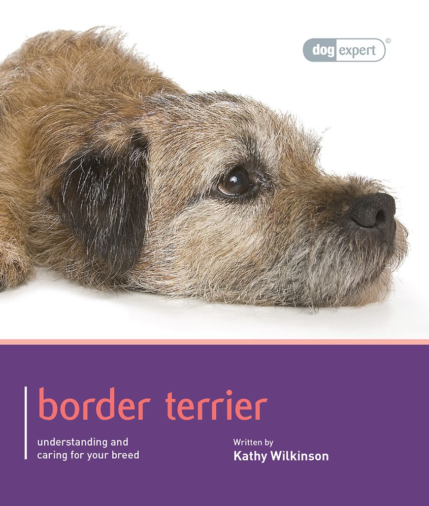Border Terrier: Pet Book