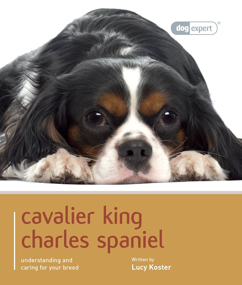 Cavalier King Charles: Pet Book