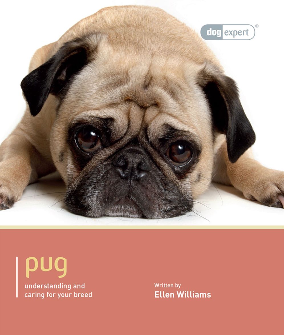 Pug: Pet Book