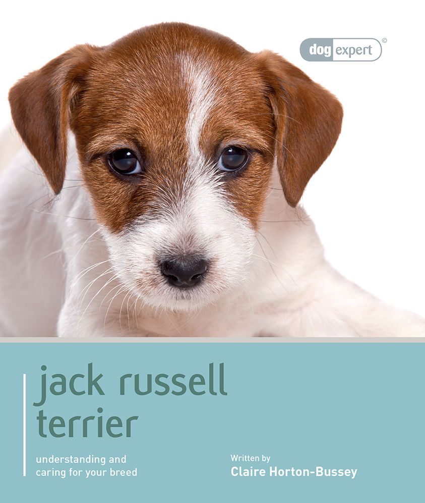 Jack Russell Terrier: Understanding and Caring for Your Breed
