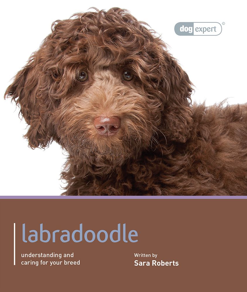 Labradoodle: Pet Book