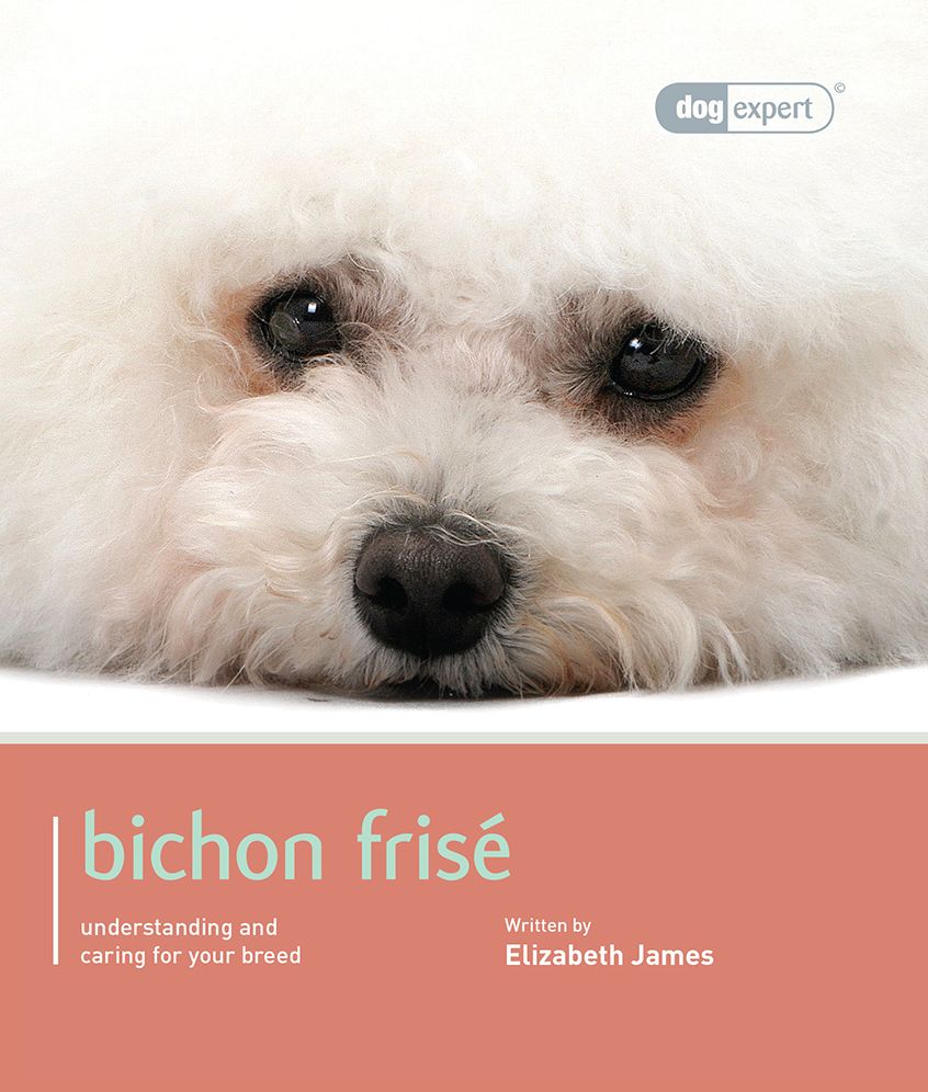 Bichon Frise