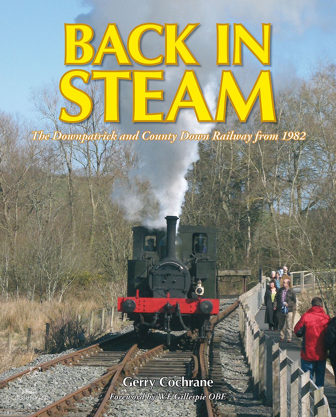 Back in Steam: The Downpatrick and County Down Railway from 1982
