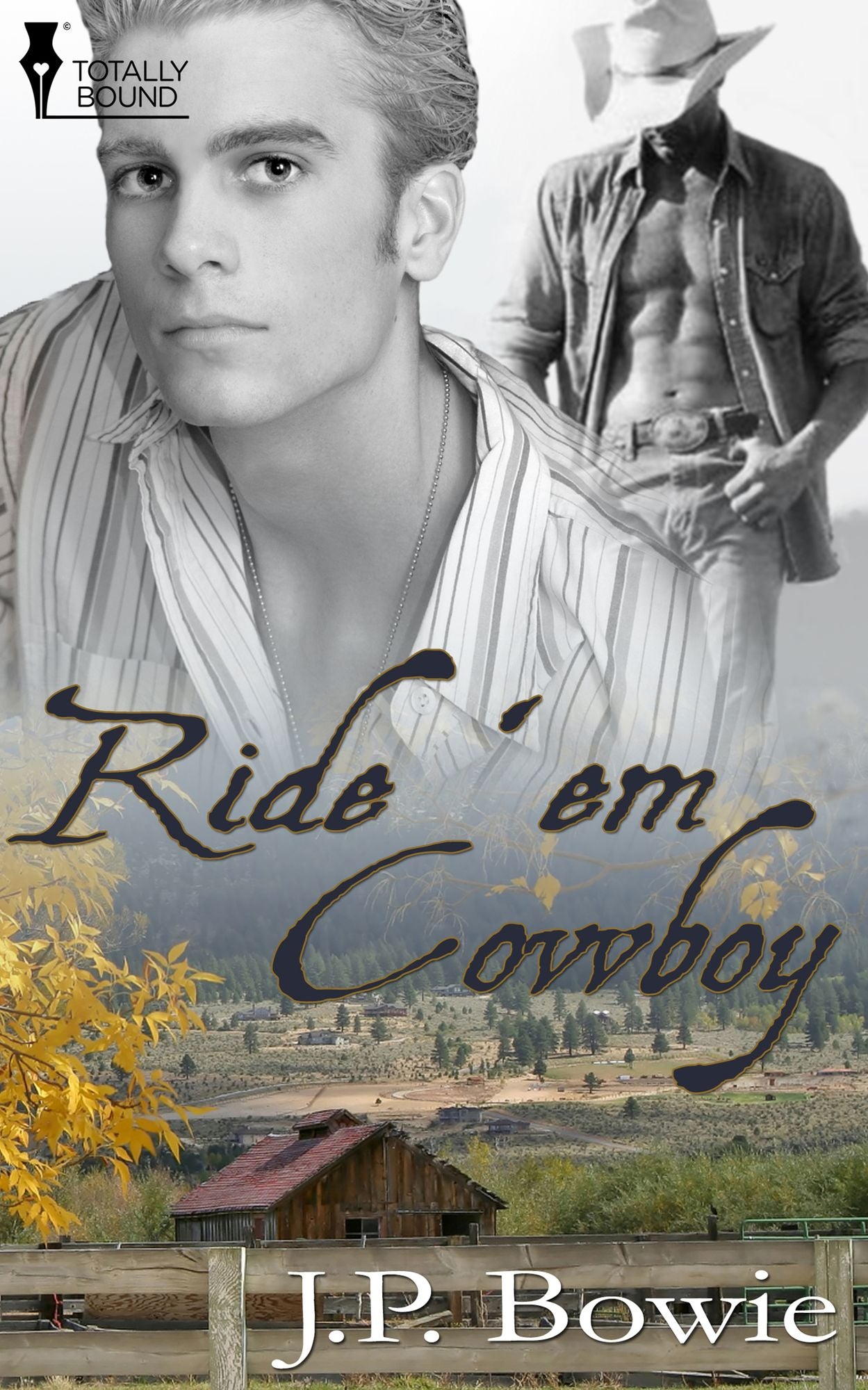 Ride 'Em Cowboy