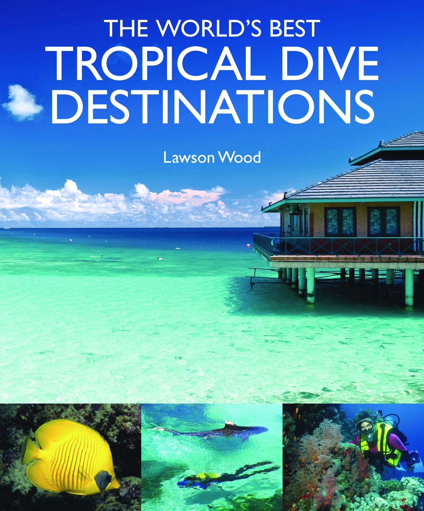 The World's Best Tropical Dive Destinations