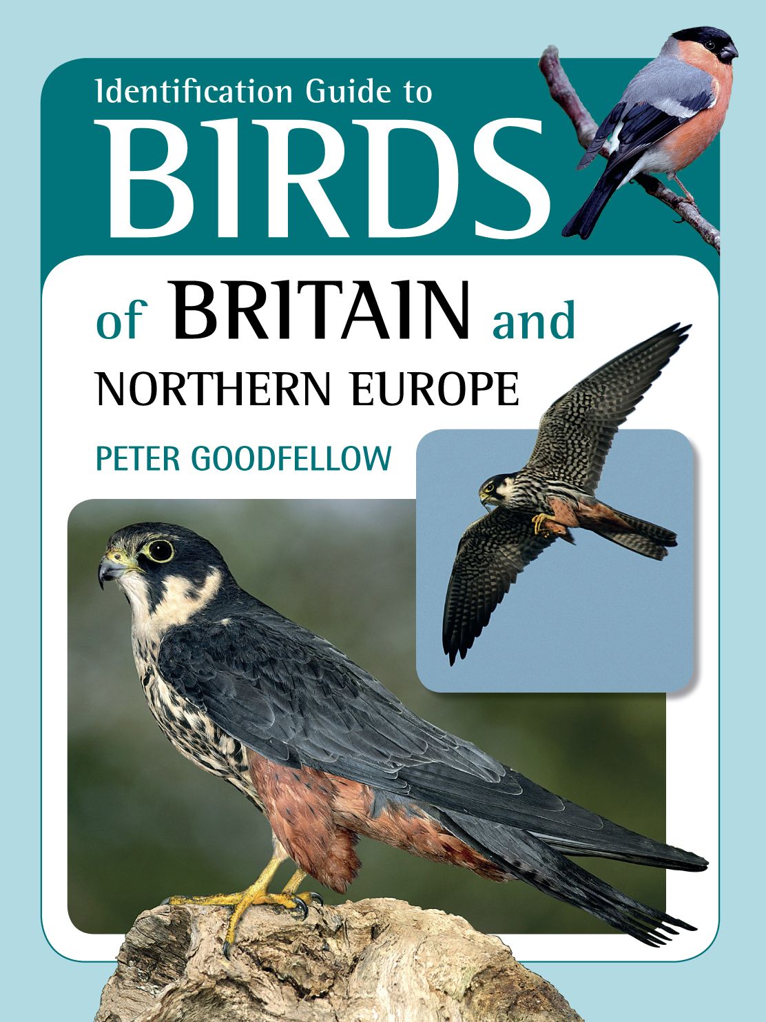 Identification Guide to Birds of Britain & Northern Europe