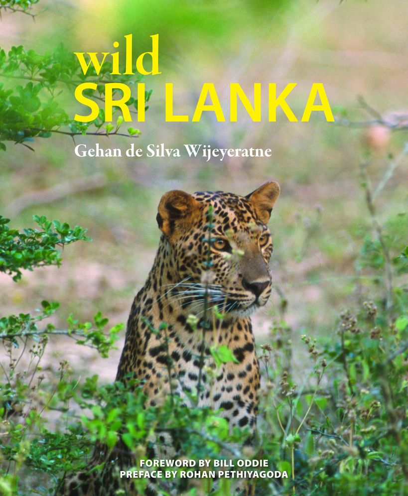 Wild Sri Lanka