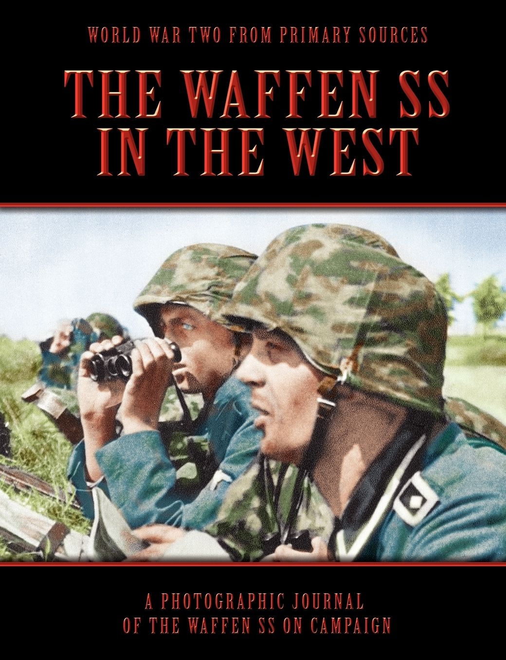 The Waffen Ss In The West