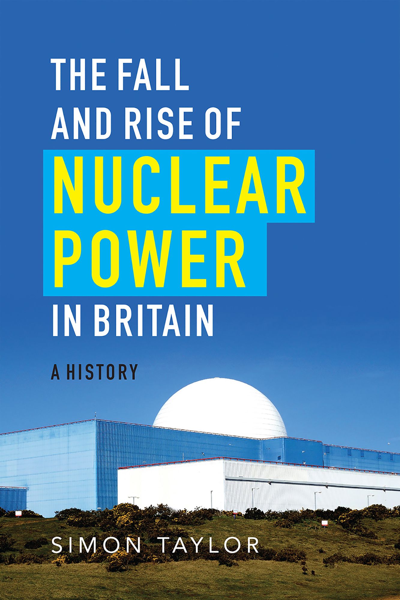 Fall and Rise of Nuclear Power in Britain: A History