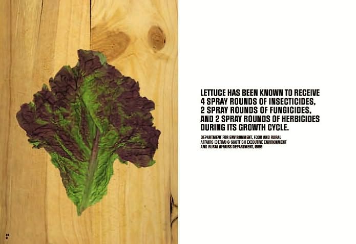 The Little Book of Shocking Food Facts