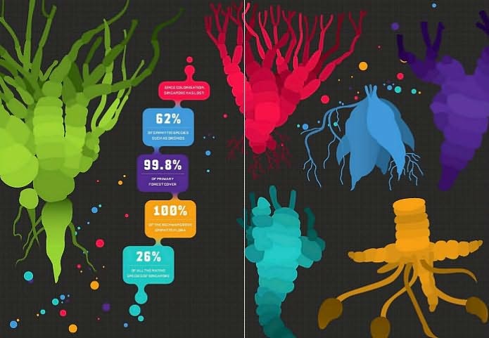 The Little Book of Shocking Eco Facts