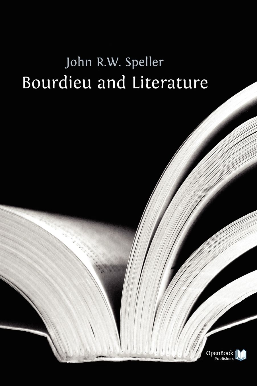 Bourdieu And Literature