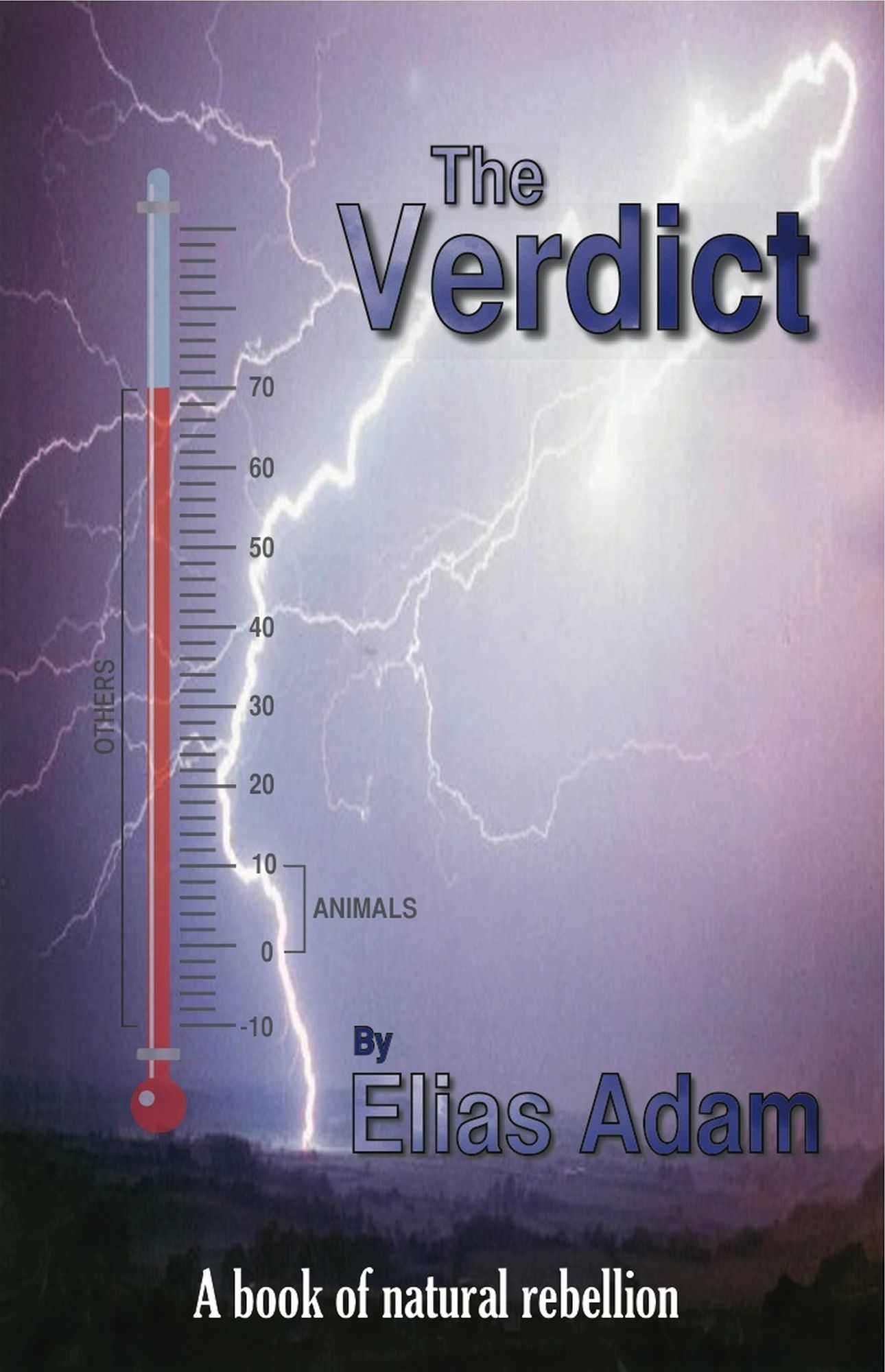 The Verdict TEST1