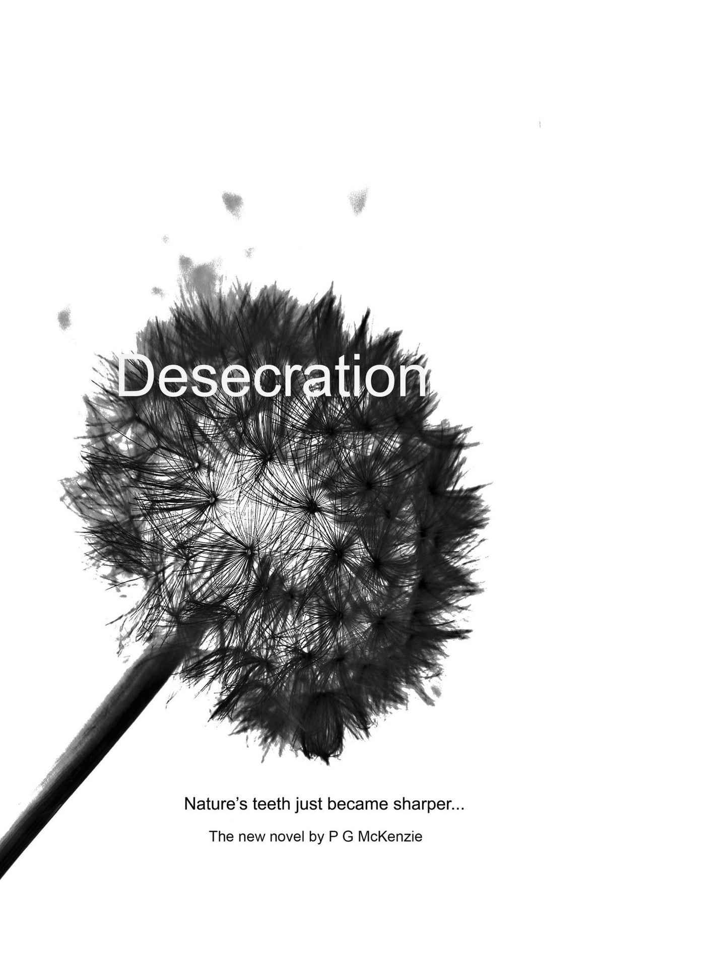 Desecration TEST1