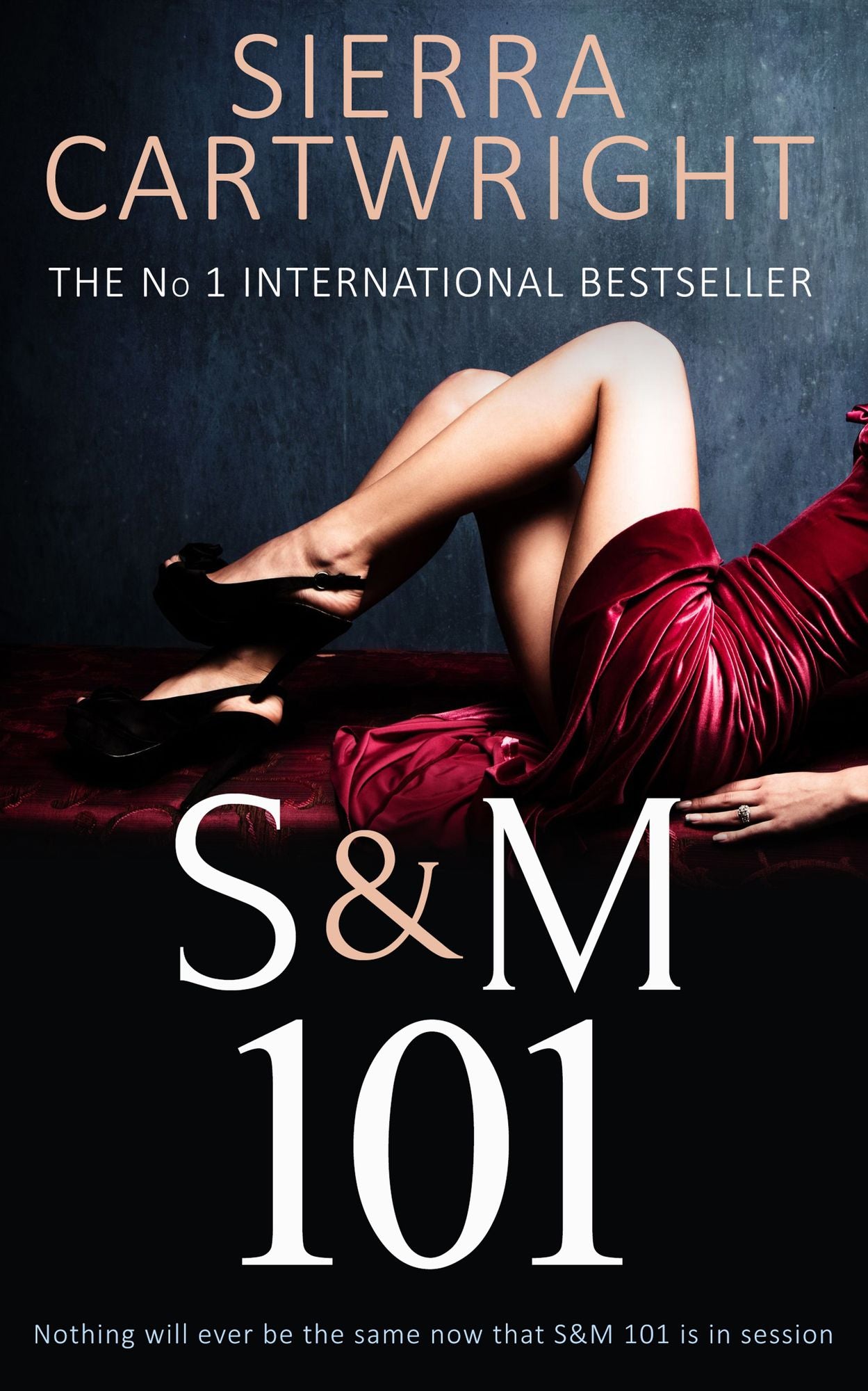 S&M 101