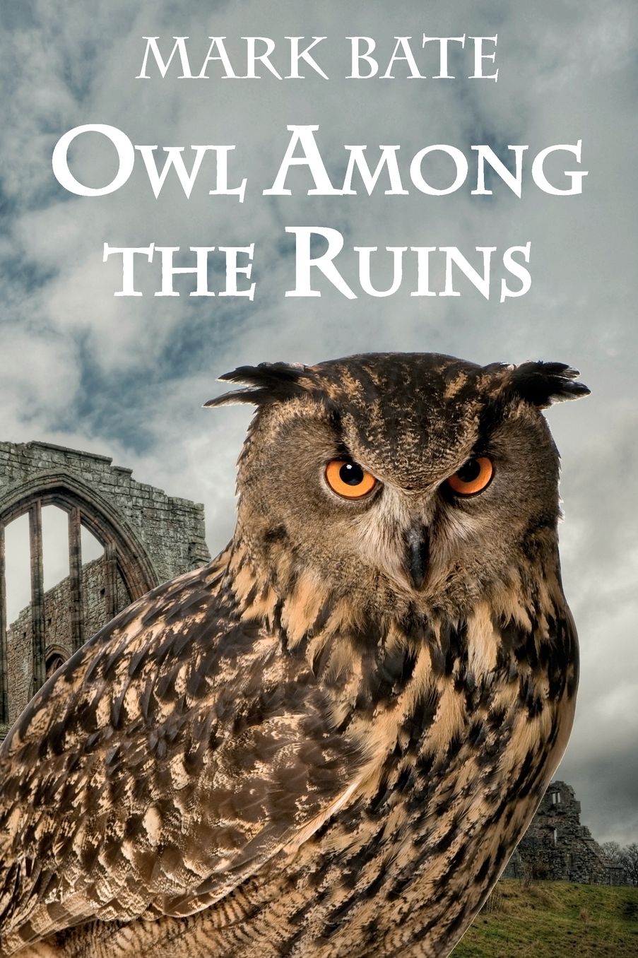 Owl Among The Ruins