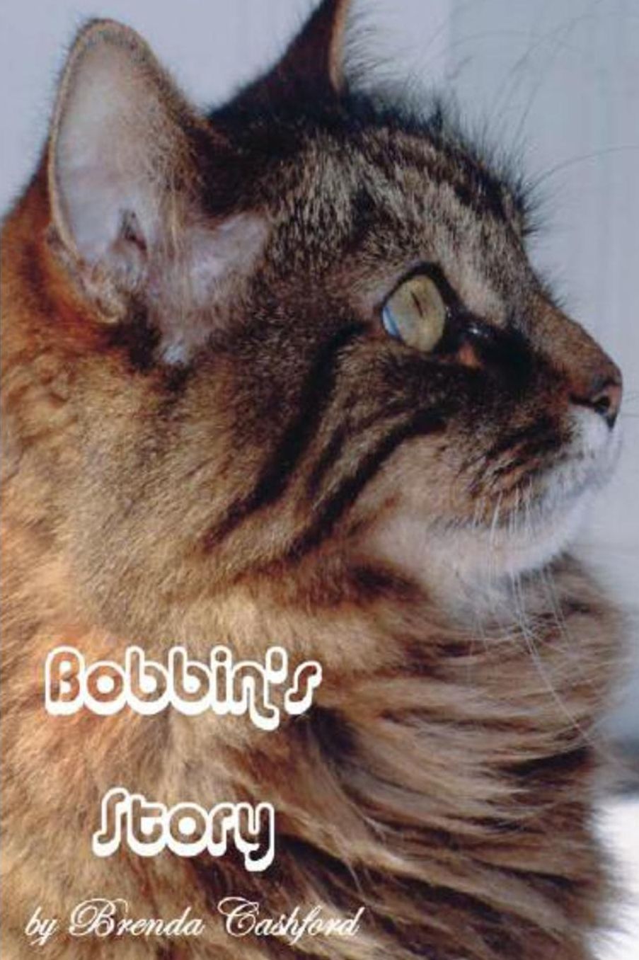 Bobbins Story: The little cat that touched so many lives
