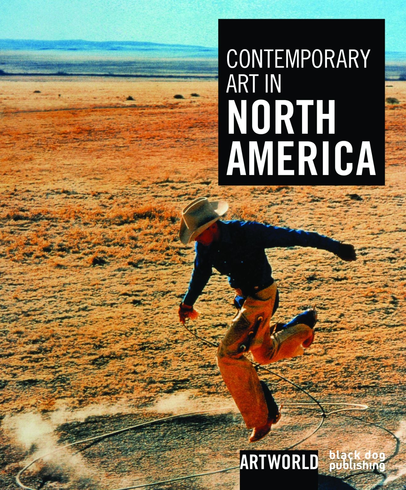 Contemporary Art in North America: Artworld