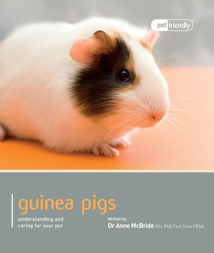 Guinea Pig: Pet Book