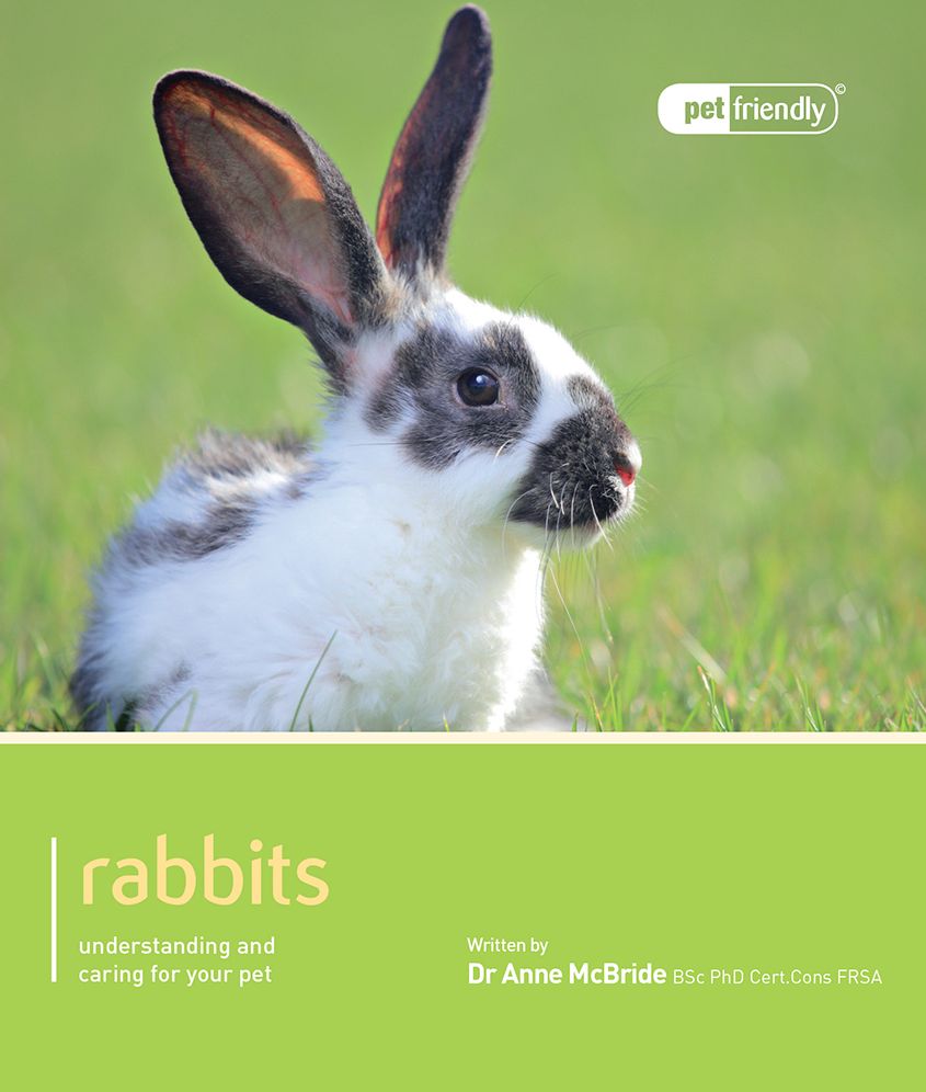 Rabbit: Pet Book